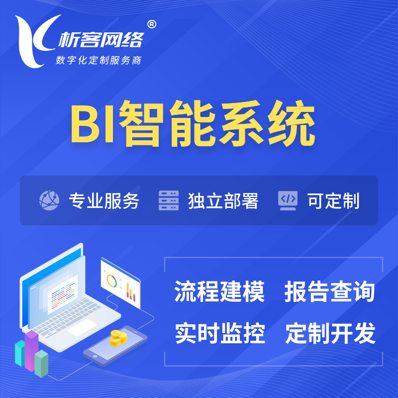 株洲BI智能系统 | BI数据可视化