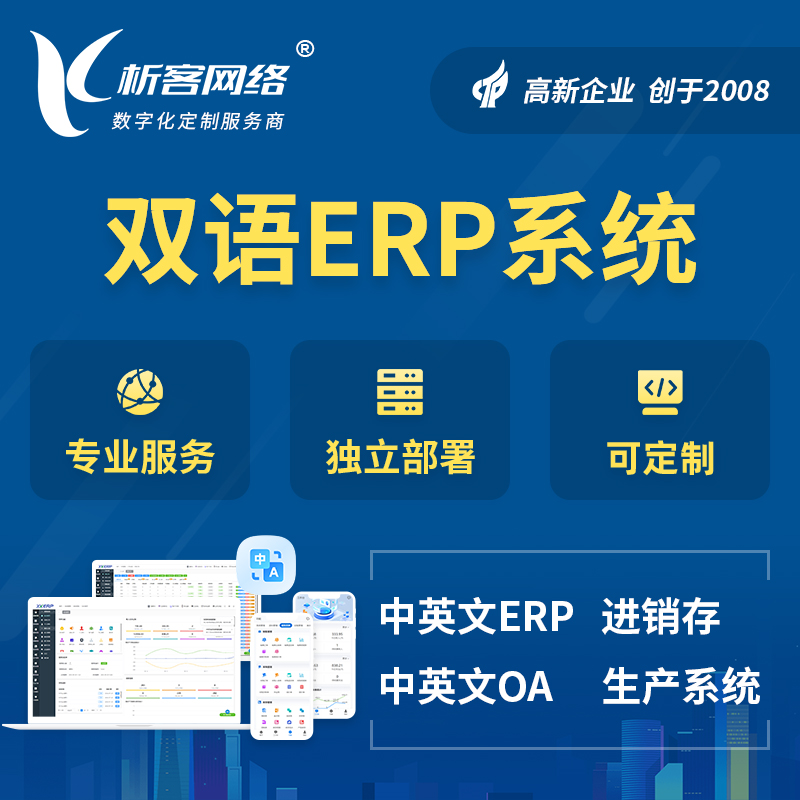 株洲双语ERP系统